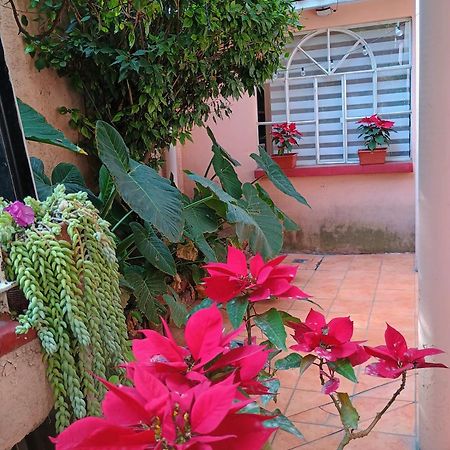 メキシコシティRelaxアパートメント エクステリア 写真