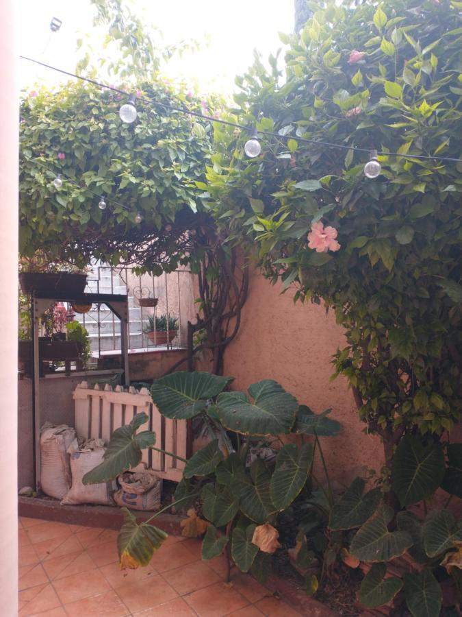 メキシコシティRelaxアパートメント エクステリア 写真