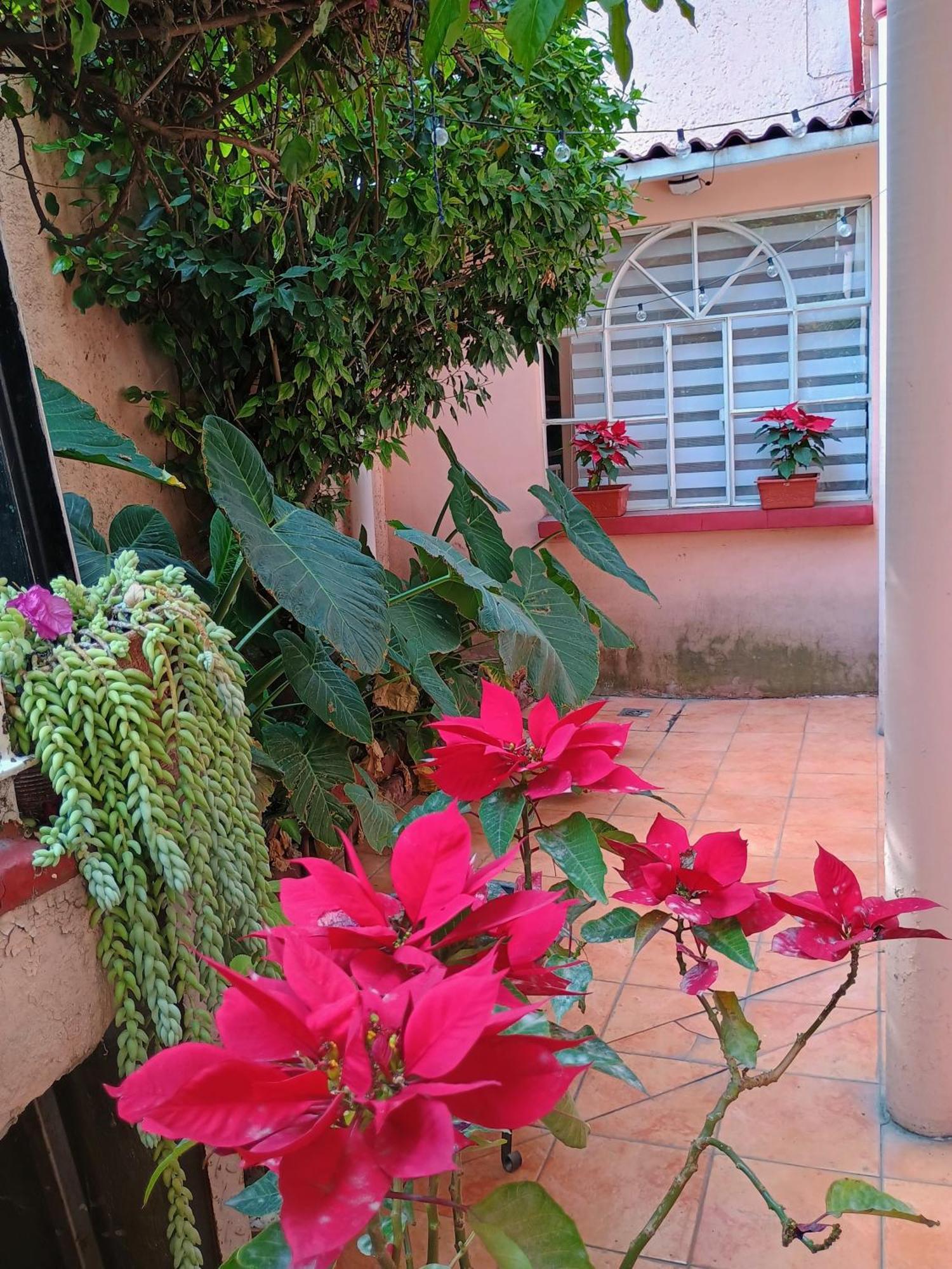 メキシコシティRelaxアパートメント エクステリア 写真